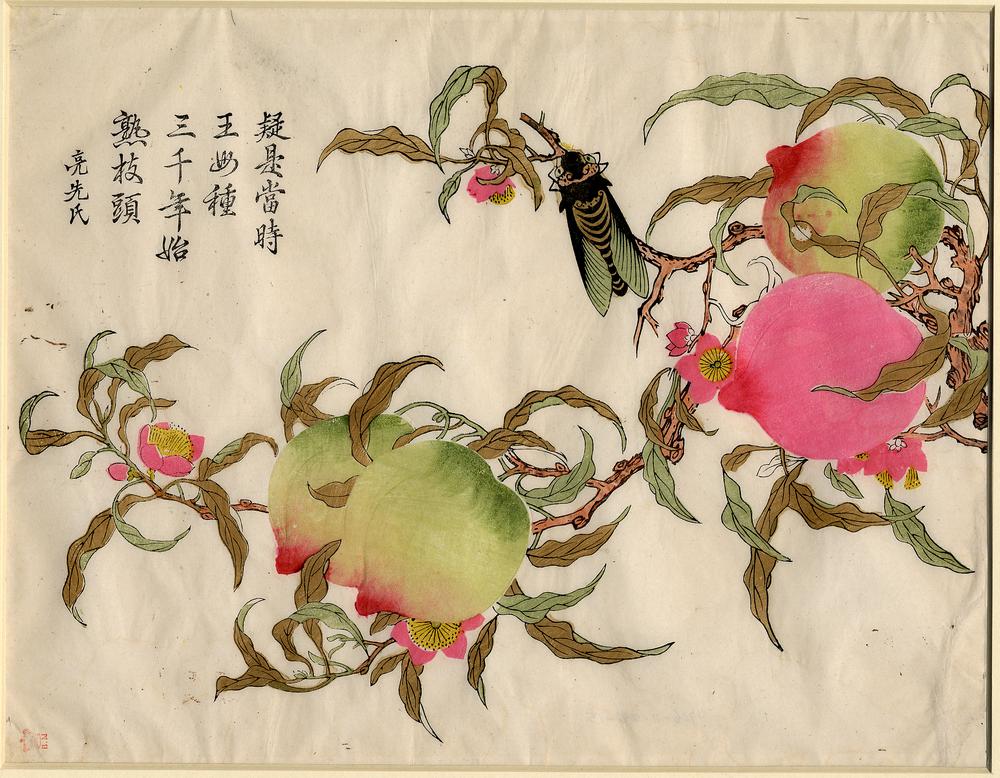 图片[1]-print BM-1906-1128-0.15-China Archive